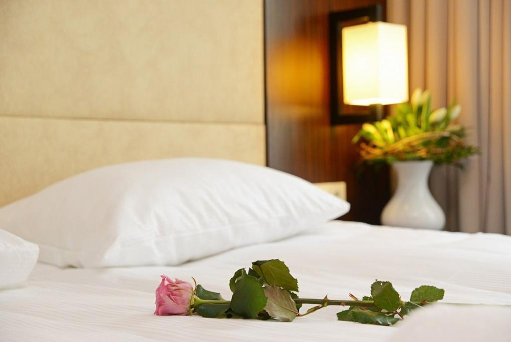 Hotel Fryderyk Nysa Habitación foto